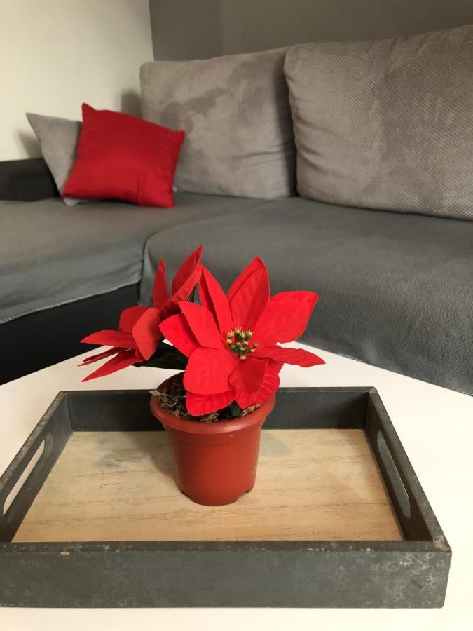 Charming Rijeka City Center Apartment Renee Экстерьер фото